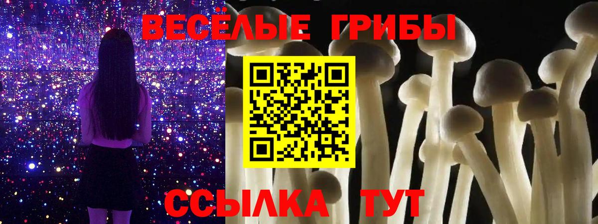 Нальчик  Галлюциногенные грибы Magic Shrooms  Вход с VPN 